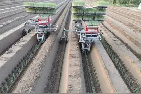 劳动一天，看看中国的“一二三”能创造什么？图片