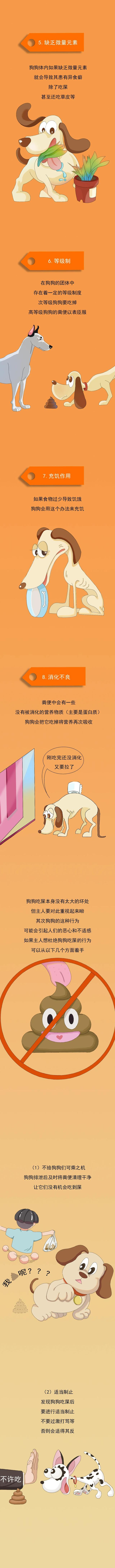 救命！为啥狗狗总喜欢吃屎？吃屎真的改不了？原因并不简单