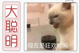 开会时老板说了句“你真是个「大聪明」”，到底是夸我还是骂我？图片