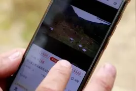 一起跨越看泰顺·共富故事｜泰顺探索中蜂“三产融合”发展模式 小小一瓶蜜 酿出“大产业”图片