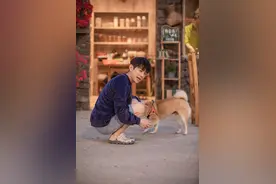 《向往的生活》《大侦探》《春天花会开》宣布节目暂时停播图片