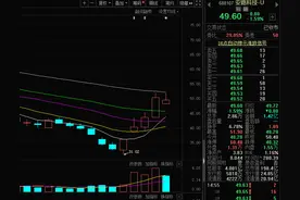 券商看好安路科技发展 公司发文请投资者理性分析图片