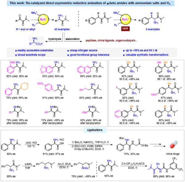 科学家利用化学催化还原胺化实现非天然氨基酸高效合成