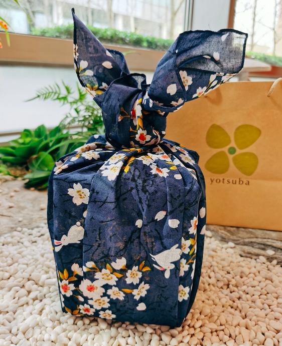 人参花胶裙边 2026年人参花胶汤