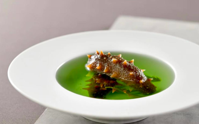 人参花胶裙边 2026年人参花胶汤