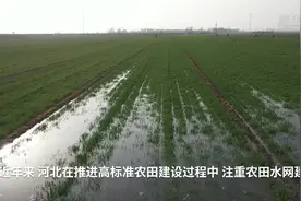 引来“活水”润农田——河北农村水网建设实现经济生态“双丰收”