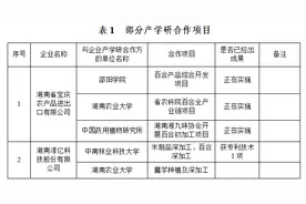 隆回高新区构建“一区三园”空间布局图片