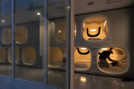 智能空调帮你入睡？睡眠不足给日本造成15万亿经济损失图片