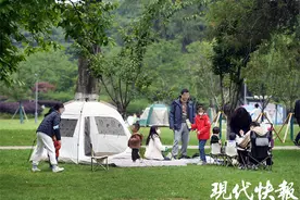 露营井喷式爆发，南京各大景区该如何接招？图片