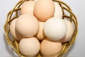 致母亲Ⅰ一窝鸡蛋(小小说)图片