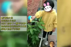 云南6岁小姑娘的一段话，把无数人整哭了图片
