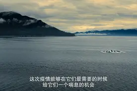 旅行，让世界更美好图片