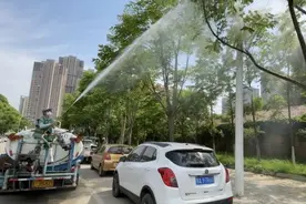 爱车上布满“油滴”？记者目击园林部门用了这些招图片