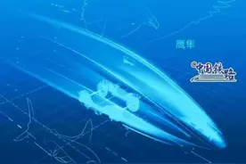 涨知识！铁路上的“仿生学”设计，你知道几个？图片