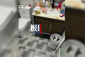 13岁男孩独居两月喂胖自己和猫狗，妈妈：不要小看孩子图片