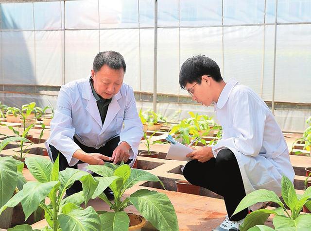 岁月鎏金 长河激荡 云南省烟草专卖局（公司）赓续奋进40年纪事