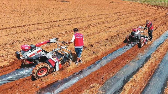 岁月鎏金 长河激荡 云南省烟草专卖局（公司）赓续奋进40年纪事