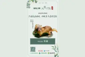 秘境之眼•人类之友 日历 | 黄鼬：只要跑得够快，你就看不清我美貌图片