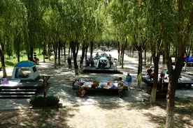 年轻人流行住帐篷！“拎包入住”的帐篷让民宿失宠？图片