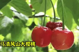 2022年第一季度“三门峡好人榜”来了图片