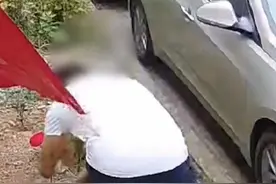 女婿母亲节去邻居家偷花送岳母，邻居：2年才开我都不舍得剪图片