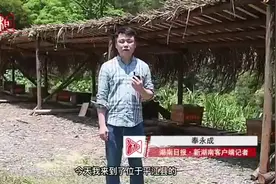 今天我来当农民丨找蜂王，摇蜂蜜，“甜蜜”生活来之不易图片