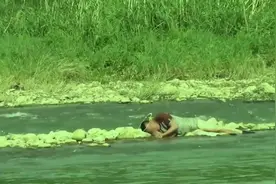 男子为救爱狗被困河中，狗子丢下他游回岸边视频封面