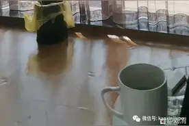 终于踏上回国路，分享机票候补成功经验图片