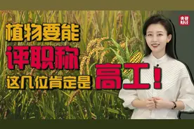 种知识｜植物要能评职称，它们可是高级工程师→视频封面