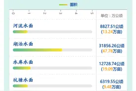 昆明市第三次全国国土调查主要数据公报发布图片