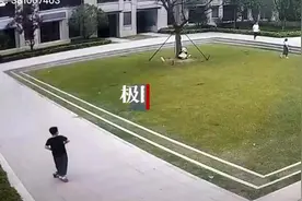 未拴绳小狗狂追女童数十秒致其摔倒，物业：狗主人已道歉图片