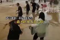 湖南一县突降暴雨市民街头抓鱼，市民：水不深，最大的鱼5斤多图片