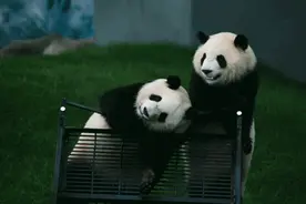 下周一，这些人免费游！图片