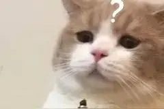 帮别人开车，这件事记得做图片