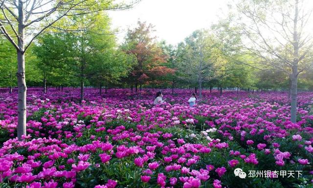 ���µ��죬���ݵ��ޡ���