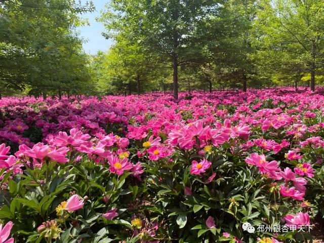 ���µ��죬���ݵ��ޡ���