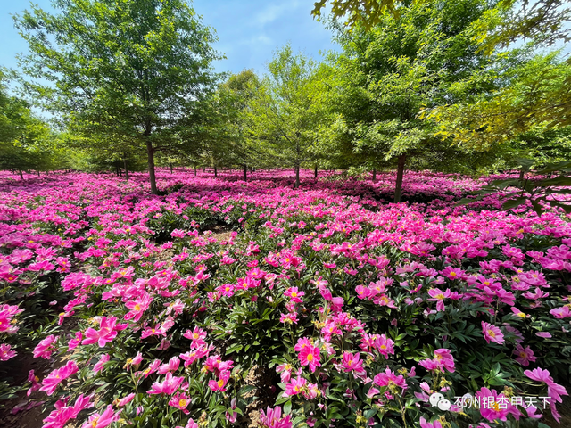 ���µ��죬���ݵ��ޡ���