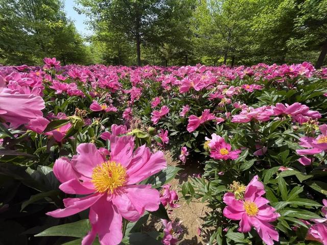 ���µ��죬���ݵ��ޡ���