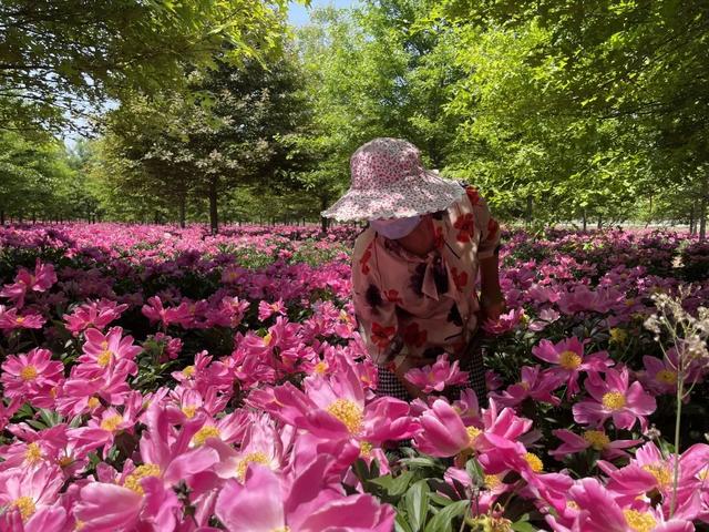 ���µ��죬���ݵ��ޡ���