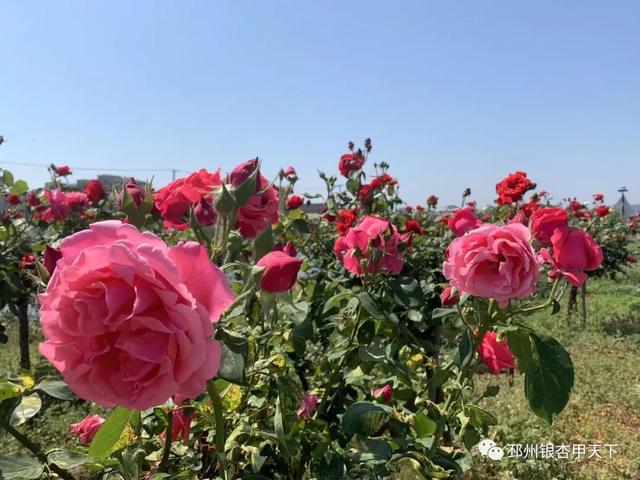 ���µ��죬���ݵ��ޡ���