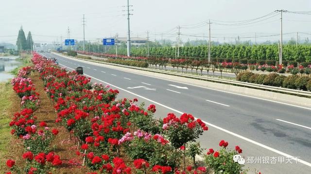 ���µ��죬���ݵ��ޡ���