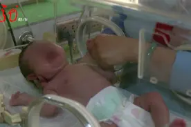 疑似“小正阳河”爸爸首次发声：“做DNA，是我的我养......”图片