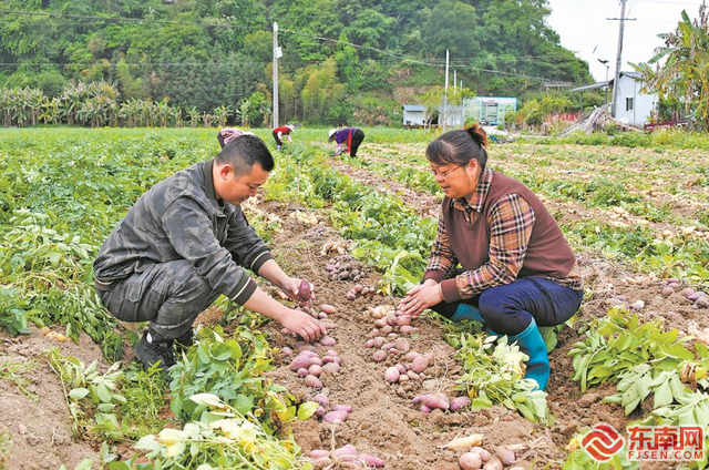 椹搩钖偛绉嶇殑绂忓缓鎺㈢储