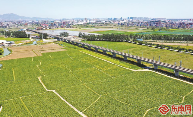 椹搩钖偛绉嶇殑绂忓缓鎺㈢储