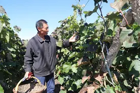 “马鞍山村发生了翻天覆地的变化，我们现在生活得很好、很幸福！”图片