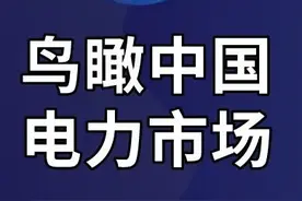 现状和趋势：鸟瞰中国电力市场图片