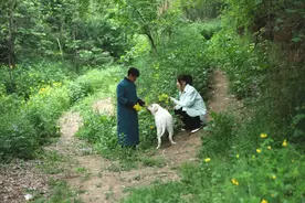 洛阳95后女孩为报恩，花66万买房车带养父环中国游，行程超3万公里图片