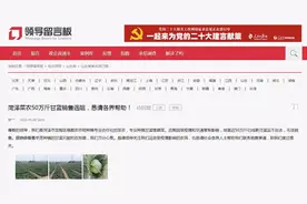 山东菏泽近50万斤已成熟甘蓝受疫情影响滞销，菜农求助图片