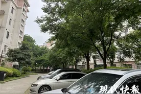 车上常布满黏糊糊的“油滴”？树上的蚜虫在作怪图片