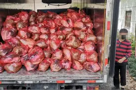 蔬菜包装成套餐加价50%-70%出售 两名经营户被采取刑事强制措施图片